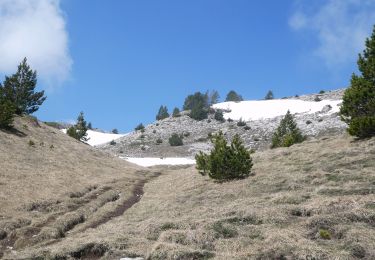 Trail Walking Châtillon-en-Diois - Combau-TêteChevalière 05-05-2018 - Photo