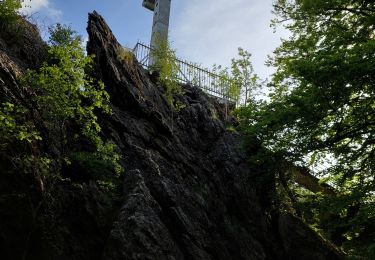 Tour Wandern Weismes - GR56 BOTRANGE- - Photo