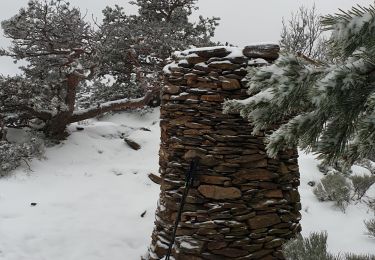 Tocht Stappen La Valla-en-Gier - Le Chirat Le Bâcha. Rosillol  La Rivoire. - Photo