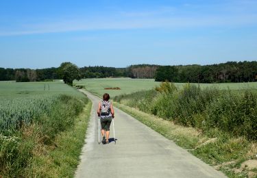 Trail On foot Grez-Doiceau - 200601 - Hèze, Longueville et Bois de Glabais - Photo