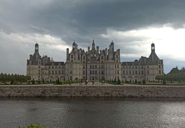 Trail Hybrid bike Muides-sur-Loire - Muides Blois Chambord  - Photo