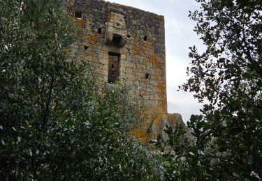 Tocht Stappen Grosseto-Prugna - frassu - Photo