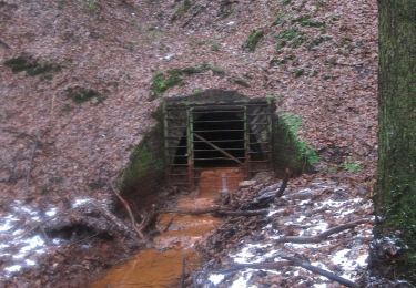 Randonnée A pied Neunkirchen-Seelscheid - Kräuterweg - Photo