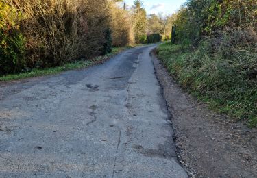 Trail Walking Rochecorbon - Rochecorbon - Photo