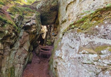 Excursión Senderismo Larochette - Mullerthal Larochette L4 Hexenlee-Kauzelee-Drachenlee-Eylelee-Rammelee (PVDB) - Photo