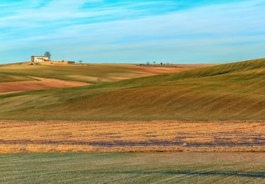 Tour Zu Fuß Viarigi - IT-505 - Photo