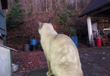 Tocht Stappen Livron - 4chats en vadrouille 12022 - Photo