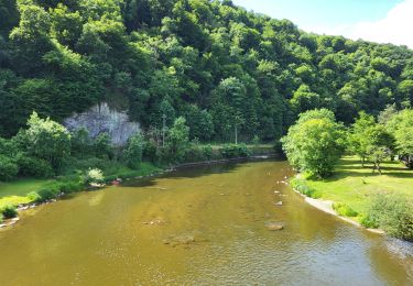 Trail Walking Vresse-sur-Semois - Allesur Semois 020625 - Photo