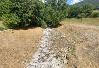 Percorso Mountainbike Sévérac d'Aveyron - Fait GTMC 2022 E10 Montrodat - Photo