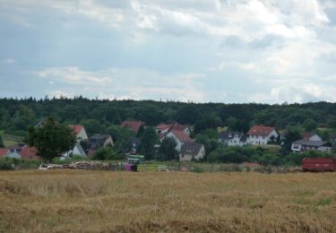 Excursión A pie Stromberg - Schöner Berg Weg - Photo