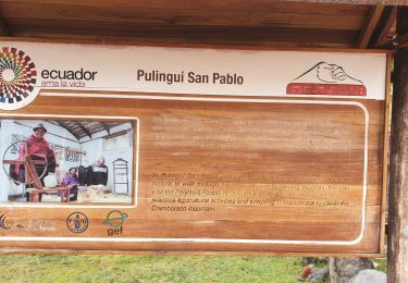 Tour Wandern San Juan - refuge carrel 4800m - Photo