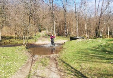 Percorso Mountainbike Gedinne - VTC Moulin de Boiron - Photo