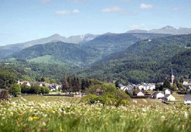 Percorso Marcia Saint-Sauves-d'Auvergne - St_Sauves_Chateauneuf - Photo
