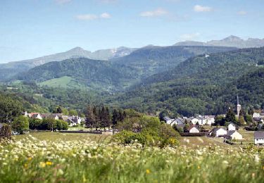 Randonnée Marche Saint-Sauves-d'Auvergne - St_Sauves_Chateauneuf - Photo