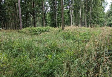 Randonnée A pied Týn nad Vltavou - [Ž] Nad Překvapením - Semenec (rozhl.) - Photo