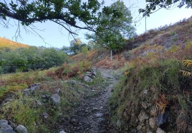 Tour Wandern Arnave - Les 4 cols autour d'Arnave - Photo