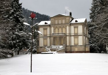 Tour Zu Fuß  - Beutig-Rundweg - Photo