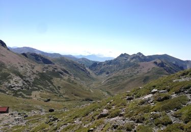 Tour Wandern Évisa - Col de Vergio - Refuge Ciuttulu di i Mori - Photo