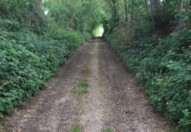 Tour Wandern Pont-à-Celles - BE-Pont-à-Celles - Autour du ruisseau de Rosseignies - Photo