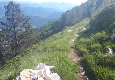 Randonnée Marche Vassieux-en-Vercors - But Saint Genix par les cols de Vassieux, La Chau, les pas de Bouillanain et Florent - Photo