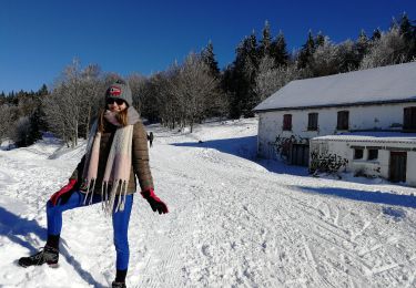 Trail Walking Le Valtin - Col de la Schlucht - Photo