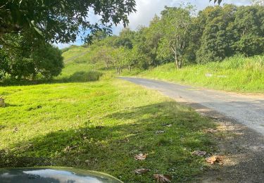 Trail Walking Sainte-Anne - Grand fonds  - Photo