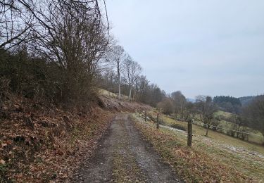 Trail Walking Monschau - A la découverte de Rohren 🥾 - Photo