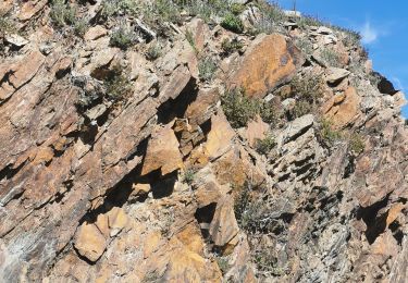 Percorso Marcia Gonfaron - Plateau du Treps - Photo