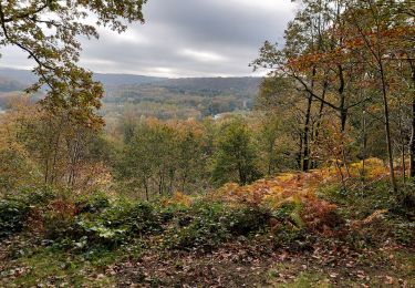 Trail Walking Montigny-le-Tilleul - De LANDELIES à LABUISSIERE _ De Gare à Gare _ RB 5 _ 27/10/2021 - Photo