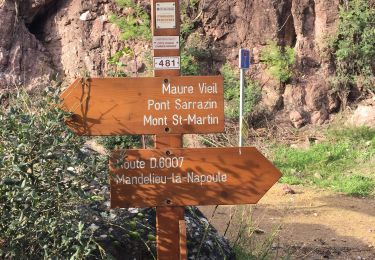 Tour Wandern Mandelieu-la-Napoule - Maure Vieil - Photo