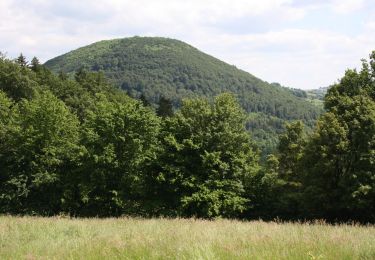 Tour Zu Fuß Sinntal - Ulrich von Hutten Pfad - Photo