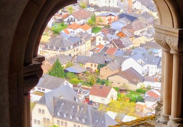 Randonnée Marche Vianden - Itinérant Luxembourg Jour 6 : Boucle autour de Vianden - Photo