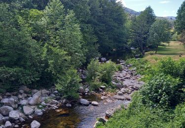 Tour Wandern Lasalle - Lasalle Briontet Soudorgues - Photo