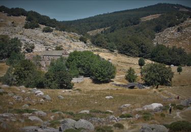 Excursión A pie Pont de Montvert - Sud Mont Lozère - SityTrail - lhopital - Photo