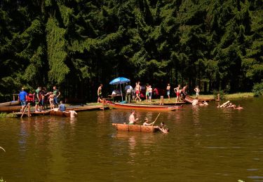 Randonnée A pied Sonnberg im Mühlkreis - Mühlviertler Sterngartl Rundweg - Photo