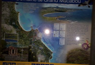 Tour Wandern Le Vauclin - Petit grand Macabou par les mornes en boucle  - Photo