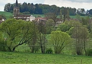 Randonnée Marche Uxegney - uxegney parcours du cœur ❤️  - Photo