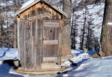 Trail Snowshoes Molines-en-Queyras - Sommet Buchet- Queyras  - Photo