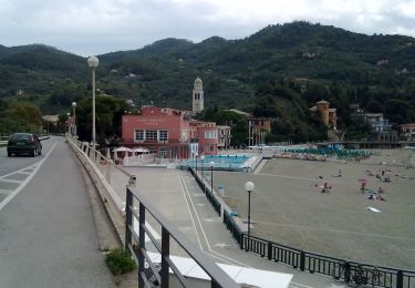 Tocht Te voet Monterosso al Mare - Sentiero Verde Azzurro: Monterosso (Fegina) - Levanto - Photo