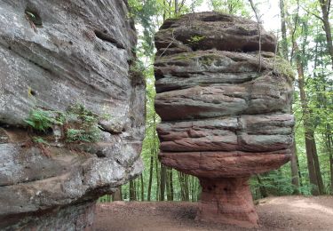 Percorso Marcia Münchweiler an der Rodalb - Pirmasens - Felsenwald - Photo