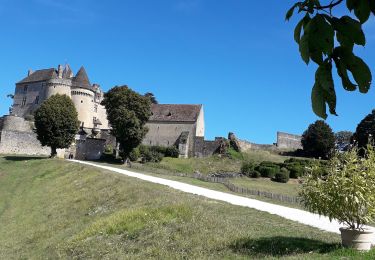 Tocht Mountainbike Saint-Julien-de-Lampon - fenelon - Photo