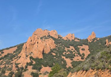 Percorso Marcia Saint-Raphaël - Pic du cap roux - Photo