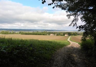 Tocht Te voet Berville-sur-Mer - berville sur mer - Photo