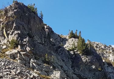 Tocht Stappen Saint-Martin-Vésubie - lacs du Pras - Photo