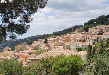 Trail Walking Bormes-les-Mimosas - 20190521. Bormes les Mimosas  - Photo