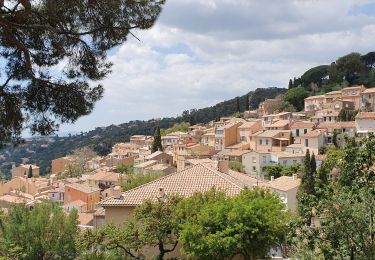 Tocht Stappen Bormes-les-Mimosas - 20190521. Bormes les Mimosas  - Photo