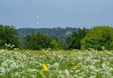 Tocht Te voet Gomadingen - Traufgang Wiesenrunde - Photo