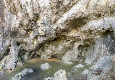 Percorso A piedi Betzenstein - Doerfer Rund um Betzenstein - Photo