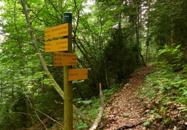 Trail Walking Saint-Baudille-et-Pipet - Esclops Trièves le menil - Photo