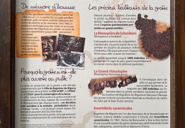 Trail Walking Bagnères-de-Bigorre - Bagnères de B. : Tucou Bedat  - Photo